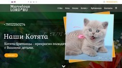 Сайт marvelouslordspb.ru